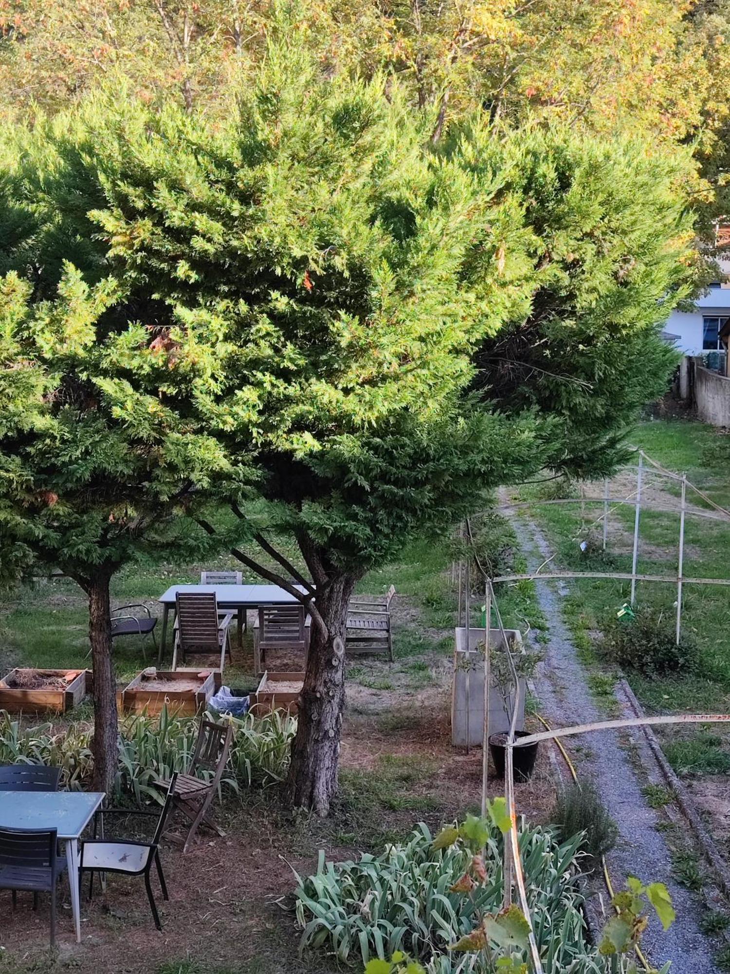 Alexandra Apartments Digne-les-Bains Zewnętrze zdjęcie